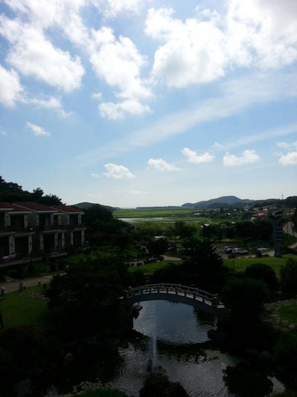 20130816_150950.jpg